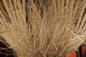 AV女優募集をかけているプロダクション